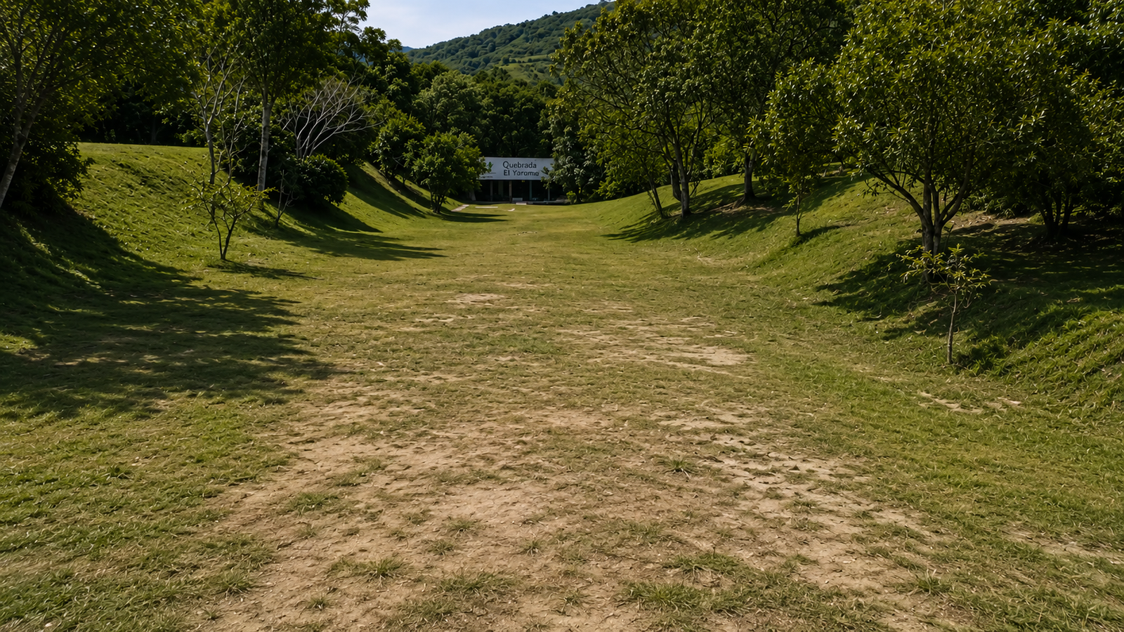 Bassecamp